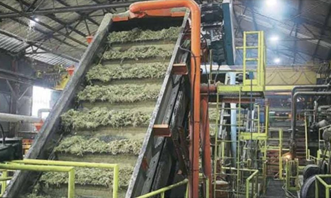 sugarmills